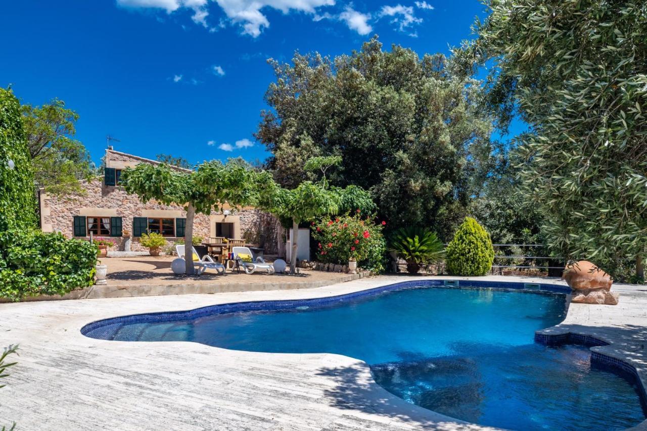 Canto By Mallorca Selection * Alcudia (Mallorca)